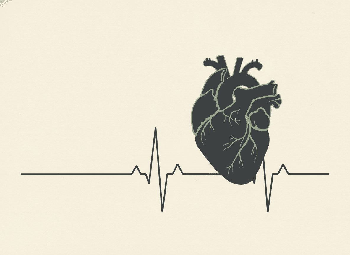 Stylized anatomical heart with EKG rhythm strip